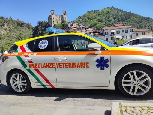 Dolceacqua, Ambulanze Veterinarie Odv solidale: dona il 50% delle entrate a Make-A-Wish Dolceacqua, Ambulanze Veterinarie Odv solidale: dona il 50% delle entrate a Make-A-Wish