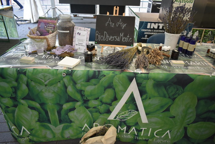 Diano Marina: domani la presentazione, per 'Aromatica' numerose e articolate le iniziative collaterali di Confcommercio Diano Marina: domani la presentazione, per 'Aromatica' numerose e articolate le iniziative collaterali di Confcommercio