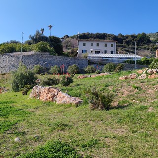Area cani attrezzata, Vallecrosia al Mare pronta a inaugurare 'Bau Garden' Area cani attrezzata, Vallecrosia al Mare pronta a inaugurare 'Bau Garden'
