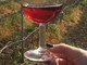 Il buon vino della tradizione ligure di ponente si trova a Terzorio: all'Azienda Agricola Lombardi strategia “green” e vinificazione tutta al naturale