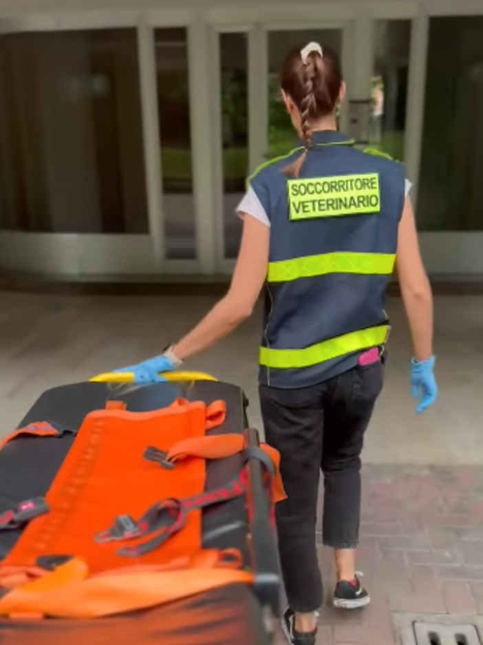 Ventimiglia, emergenze legate al caldo: due interventi in poche ore per Ambulanze Veterinarie Odv