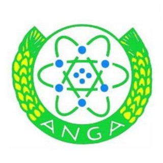 Ecco 'Il fiore risponde' l'ultima iniziativa dell'Anga di Imperia sfruttando la grande rete Ecco 'Il fiore risponde' l'ultima iniziativa dell'Anga di Imperia sfruttando la grande rete