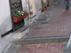 Sanremo: tour nella Pigna di Lombardi, la risposta del Comitato di Quartiere 'Perchè la Pigna è Sanremo' Sanremo: tour nella Pigna di Lombardi, la risposta del Comitato di Quartiere 'Perchè la Pigna è Sanremo'