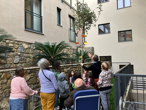 Sanremo: Giornata degli alberi e dei diritti del fanciullo, piantato albero presso la Residenza Julia