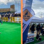 Arma di Taggia, il Centro Commerciale Riviera Shopville ospita per la prima volta “L’Arca di Noè in Tour” Arma di Taggia, il Centro Commerciale Riviera Shopville ospita per la prima volta “L’Arca di Noè in Tour”