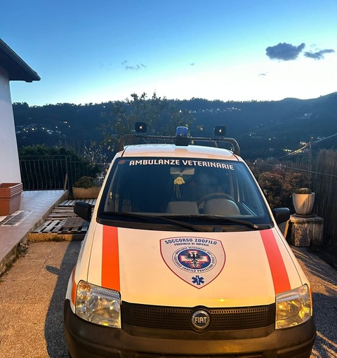 Bordighera, dona una Panda: nuovo mezzo per Ambulanze Veterinarie Odv