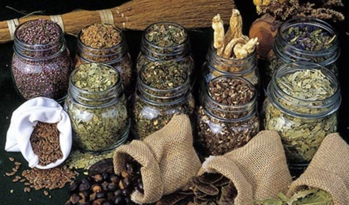 Arma: oggi inaugurazione 2a Esposizione di Piante Officinali