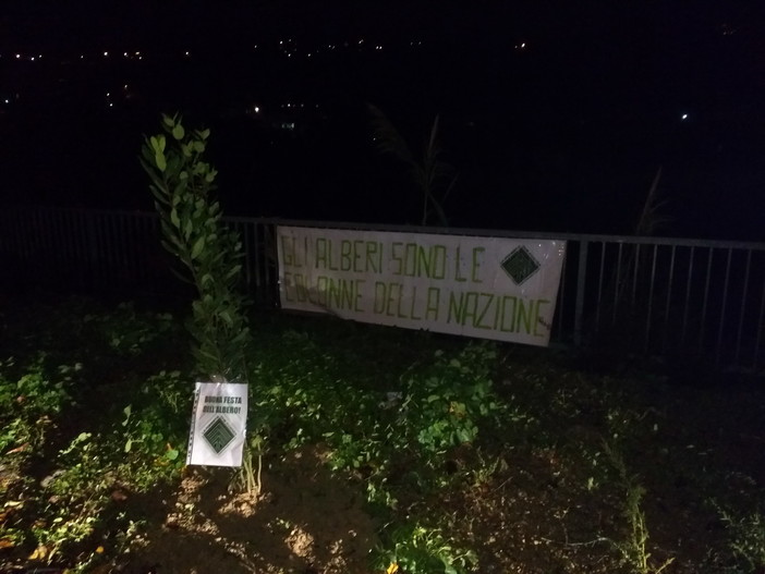 Imperia: Casapound pianta albero di alloro ed affigge striscione per celebrare la festa dell'albero Imperia: Casapound pianta albero di alloro ed affigge striscione per celebrare la festa dell'albero