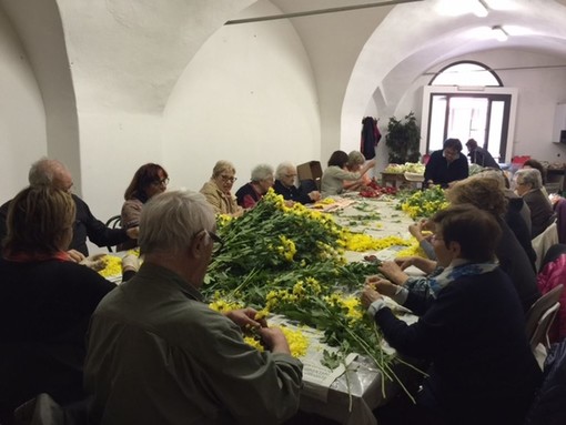 Imperia: l'appello degli Infioratori di Via Carducci, quest'anno a corto di fiori per i famosi "quadri"