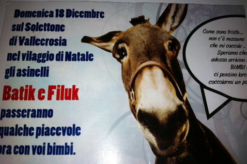 Vallecrosia: domenica al Villaggio di Natale per i bambini arrivano gli asinelli “Batik e Filuk”