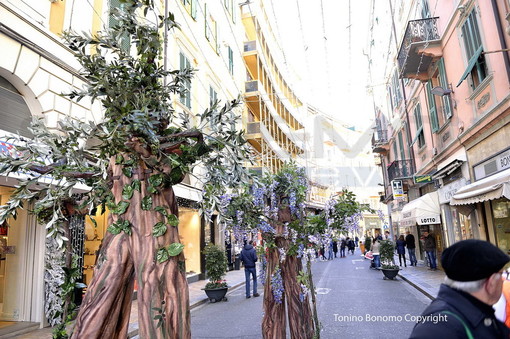 Sanremo: per la gioia di grandi e piccini, due 'alberi camminanti' in giro per le vie del centro