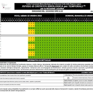 Maltempo, confermata l’Allerta gialla per temporali su tutta la Liguria fino alle 15 Maltempo, confermata l’Allerta gialla per temporali su tutta la Liguria fino alle 15