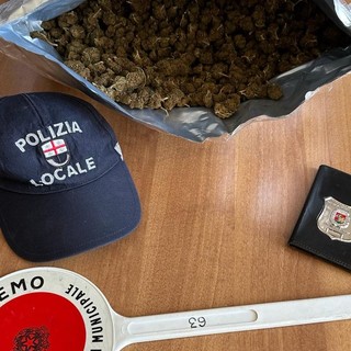 Sanremo, mezzo chilo di "maria" nello zaino: arrestato dalla polizia municipale