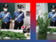Coltivava marijuana in un terreno di sua proprietà in località Autenchi, donna 62enne arrestata dai carabinieri di Badalucco Coltivava marijuana in un terreno di sua proprietà in località Autenchi, donna 62enne arrestata dai carabinieri di Badalucco
