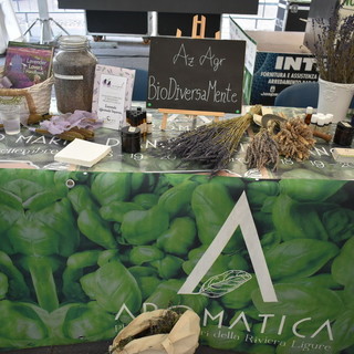 Diano Marina: domani la presentazione, per 'Aromatica' numerose e articolate le iniziative collaterali di Confcommercio Diano Marina: domani la presentazione, per 'Aromatica' numerose e articolate le iniziative collaterali di Confcommercio