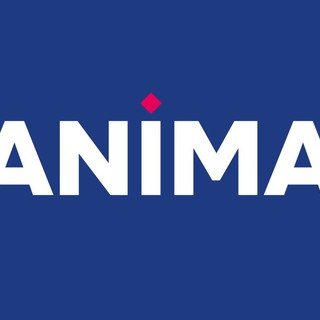 Sanremo: intervento di Franco Solerio e Alessandro Sindoni sul posizionamento politico di ANIMA