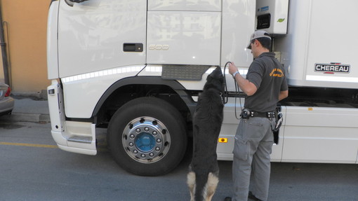 Ventimiglia: arrestati dalla GdF due corrieri in 48 ore. Sequestrati 500 grammi di hashish e 1,2 chilogrammi di marijuana