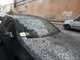 Imperia: auto completamente sommersa da escrementi di uccelli vicino alla casa circondariale Imperia: auto completamente sommersa da escrementi di uccelli vicino alla casa circondariale