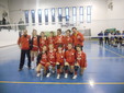 Arma Volley