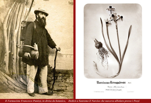 'Sanremo e l'Europa', la mostra a Santa Tecla: quando Francesco Panizzi dedicò un Narciso a Sanremo