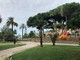 Ventimiglia: tragedia sfiorata, grosso pino crolla ai giardini Tommaso Reggio. Transennata l'area in attesa della rimozione (foto)