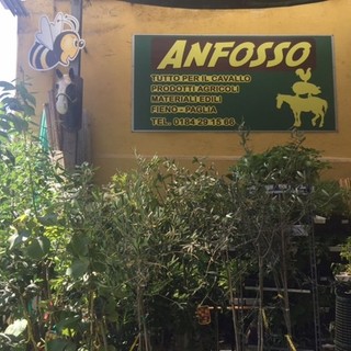 Camporosso: da Anfosso Agraria tutto per l'apicultura, l'equitazione, la toelettatura per cani e l'agricoltura