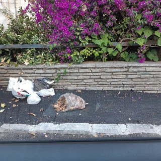 Sanremo: incivili e degrado in via Scoglio, lettore denuncia l'abbandono di rifiuti Sanremo: incivili e degrado in via Scoglio, lettore denuncia l'abbandono di rifiuti