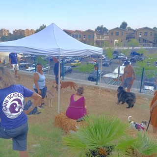 Corso ludico in acqua e cultura cinofila, giornata dedicata al benessere dei cani a Vallecrosia al Mare (Foto) Corso ludico in acqua e cultura cinofila, giornata dedicata al benessere dei cani a Vallecrosia al Mare (Foto)