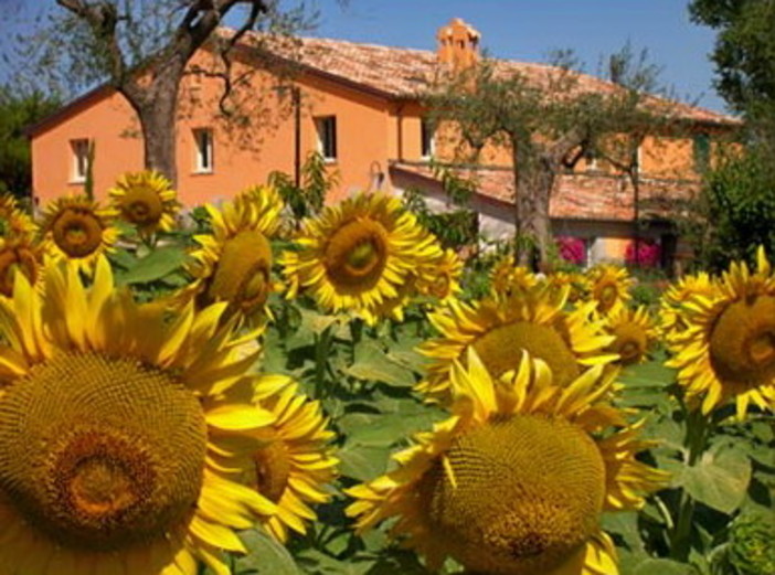 Domenica prossima l'8a Giornata Nazionale dell’Agriturismo, la tua casa in campagna