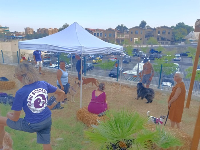 Corso ludico in acqua e cultura cinofila, giornata dedicata al benessere dei cani a Vallecrosia al Mare (Foto) Corso ludico in acqua e cultura cinofila, giornata dedicata al benessere dei cani a Vallecrosia al Mare (Foto)