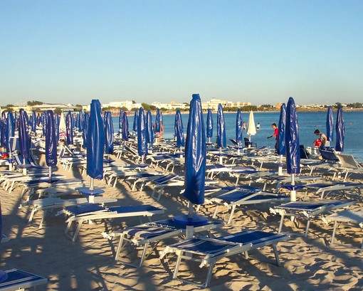 Imperia: sarà possibile pulire le spiagge bruciando il detriti vegetali, la soddisfazione della FIBA Imperia: sarà possibile pulire le spiagge bruciando il detriti vegetali, la soddisfazione della FIBA