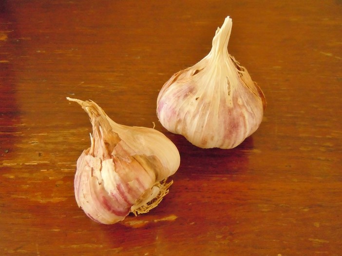 Alla scoperta dell’aglio di Vessalico, un’eccellenza del Ponente Ligure con la guida di Alberto Berruti