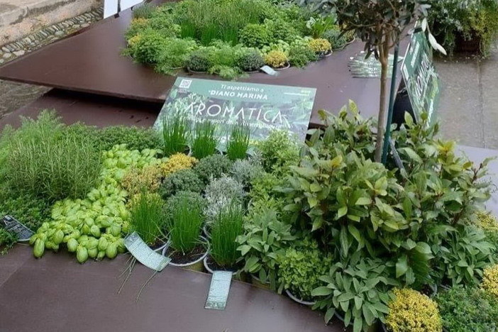 Aromatica 2024 a Diano Marina Aromatica 2024 a Diano Marina