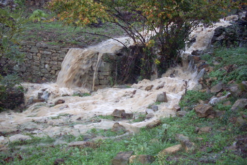 Le immagini inviate dal lettore Le immagini inviate dal lettore