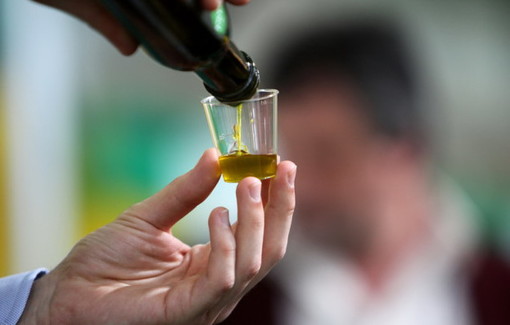 Degustare e conoscere l’olio: il 27 maggio all’Istituto Marsano di Genova, primo Corso per dottori agronomi e forestali