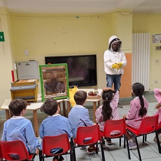 Apicoltura a scuola con i bambini della scuola dell'infanzia di Arma e Castellaro (foto) Apicoltura a scuola con i bambini della scuola dell'infanzia di Arma e Castellaro (foto)