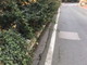 Sanremo: lettrice segnala situazione di pericolo per i pedoni in via Duca degli Abruzzi Sanremo: lettrice segnala situazione di pericolo per i pedoni in via Duca degli Abruzzi