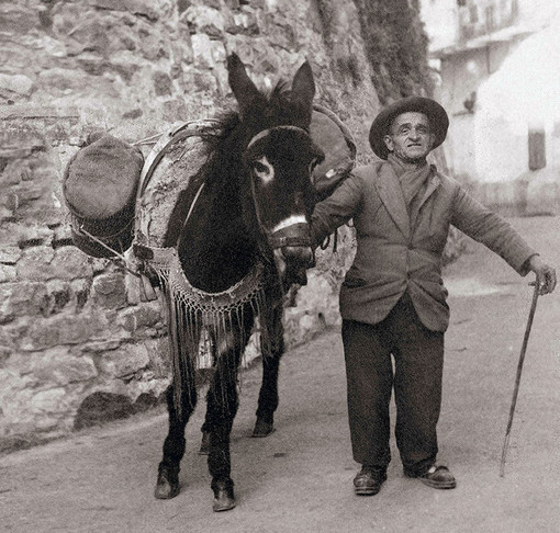 'Sanremo e l'Europa', la mostra a Santa Tecla: quando, come e perché la terra di Sanremo era fertile ma...