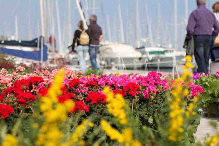 Santo Stefano al Mare: dall'11aprile al Porto ritorna l'appuntamento con "Aregai in fiore"