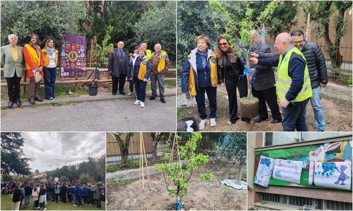 "Uniti nelle differenze", due scuole primarie e i Lions di Ventimiglia piantano l'albero delle diversità (Foto e video)