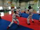 Karate, oltre 80 atleti sul tatami a Diano Marina per il concentramento provinciale (Foto) Karate, oltre 80 atleti sul tatami a Diano Marina per il concentramento provinciale (Foto)