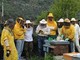Domenica 26 novembre il miele e l'apicultura protagonisti a Pieve di Teco