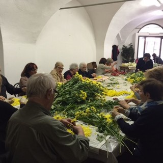 Imperia: l'appello degli Infioratori di Via Carducci, quest'anno a corto di fiori per i famosi "quadri"