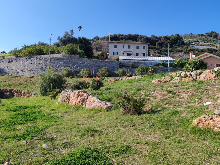 Area cani attrezzata, Vallecrosia al Mare pronta a inaugurare 'Bau Garden' Area cani attrezzata, Vallecrosia al Mare pronta a inaugurare 'Bau Garden'