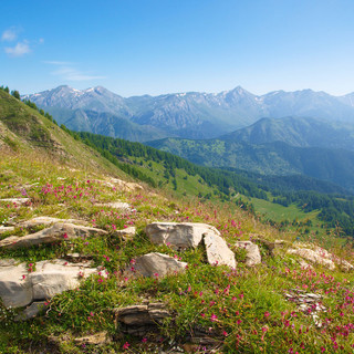 Citizen Science (scienza fatta dai cittadini) sabato 24 e domenica 25 nel Parco delle Alpi Liguri Citizen Science (scienza fatta dai cittadini) sabato 24 e domenica 25 nel Parco delle Alpi Liguri