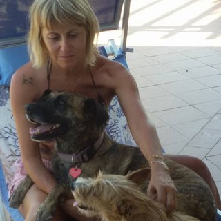 L'estate bollente di cani e gatti: massima attenzione ai colpi di calore