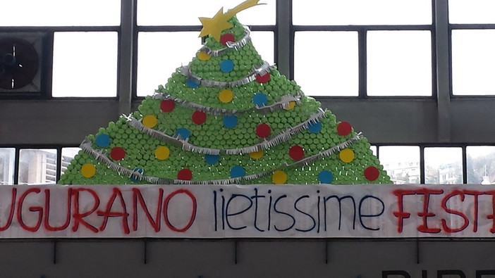 L'albero realizzato con le bottiglie di plastica