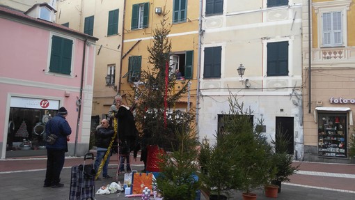Imperia: sono addirittura dieci gli alberi di Natale in via San Giovanni addobbati dai cittadini Imperia: sono addirittura dieci gli alberi di Natale in via San Giovanni addobbati dai cittadini