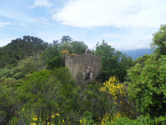 Il gruppo 'ArcheoNervia' scopre un menhir e un altare sacrificale tra i boschi di Perinaldo, nei pressi della cappella di San Pancrazio Il gruppo 'ArcheoNervia' scopre un menhir e un altare sacrificale tra i boschi di Perinaldo, nei pressi della cappella di San Pancrazio