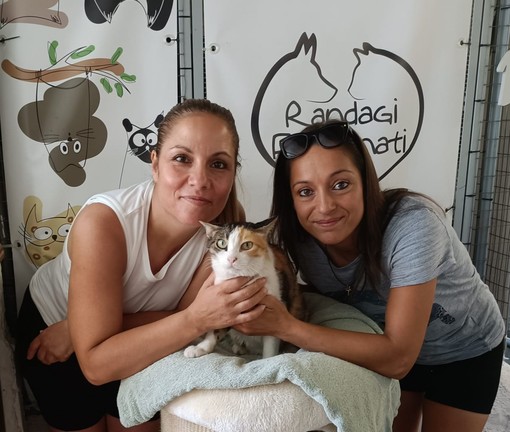 Ventimiglia: Fedele e Gangemi (associazione Randagi Fortunati) entrano nel direttivo di Azzurro Donna Ventimiglia: Fedele e Gangemi (associazione Randagi Fortunati) entrano nel direttivo di Azzurro Donna